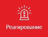 icon - /uploads/s/q/u/7/qu7chwl8sdcp/img/full_PvDfWyyS.png